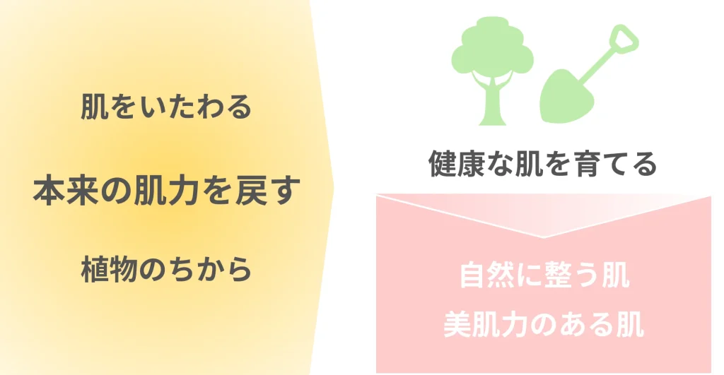 肌力が回復する仕組みイメージ図