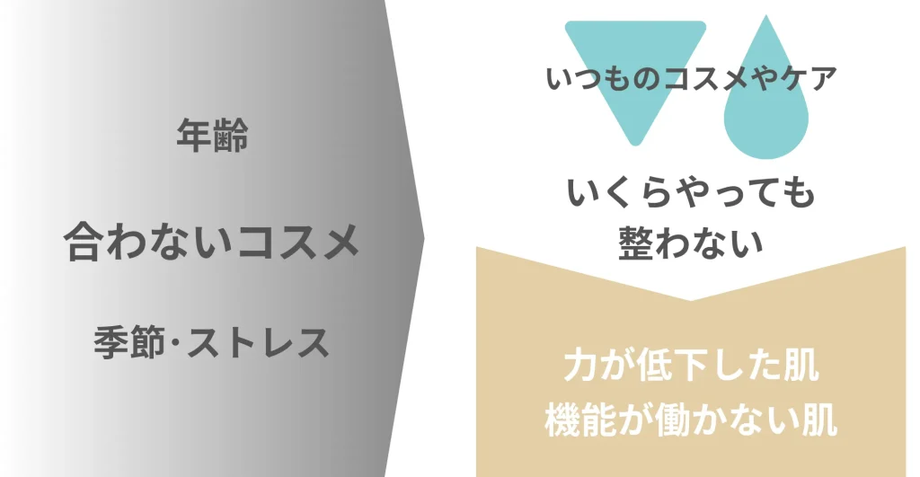 肌が安定しない理由のイメージ図